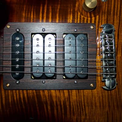 PRS P24 2012 Black Gold Wrap Around - Modified Jerry Garcia Tiger Electronics OBEL image 9