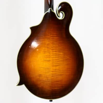 Monteleone Grand Artist Mandolin #164 image 9
