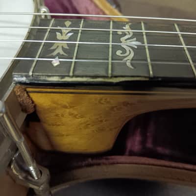 Orpheum No. 1 Tenor Banjo 1910-1915 image 13