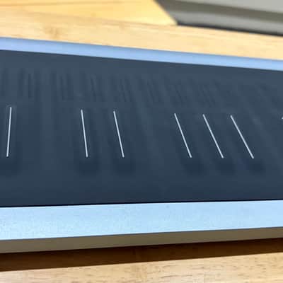 ROLI Seaboard RISE 2 (Platinum Blue) 49-Key + Equator2 + Soft Case image 18