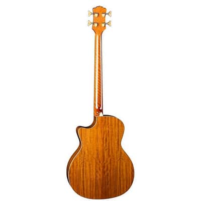 Luna Vista Bear Bass Tropical Wood Acoustic/Electric w/Case image 8