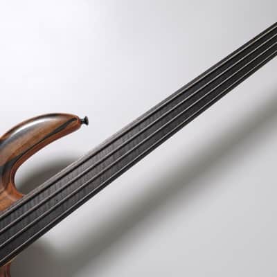 Elrick Gold Series E-volution 4st Fretless -Striped Ebony-【USED】【4.04kg】 image 6