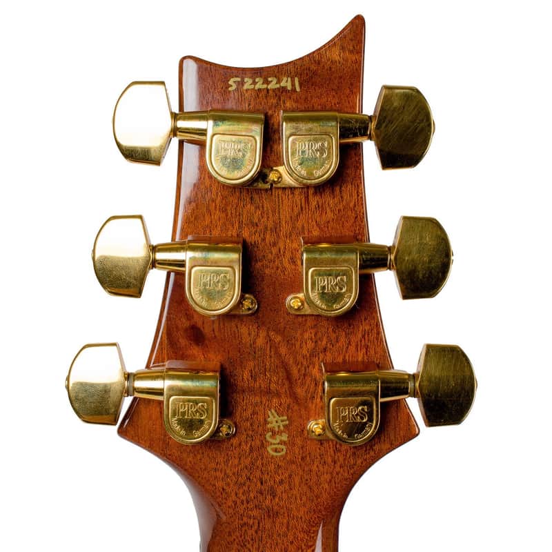 PRS 10th Anniversary Artist Series 1995 image 4