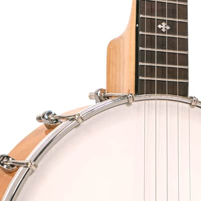 Gold Tone 5-String Bluegrass Open Back Banjo w/ Gig Bag image 4