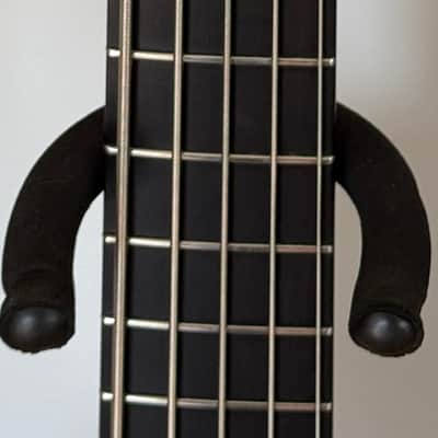 Alembic Essence Bass 5-string 1996 image 10