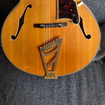 D'Angelico Excel EXL-1 Hollow Body Archtop image 1