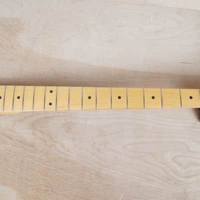 Tokai Production Precision Bass Style CIJ w/ Maple Fretboard 2000s image 4