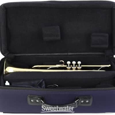 Bach 190M37X Stradivarius Professional Bb Trumpet - Clear Lacquer (BA190M37Xd2) image 5