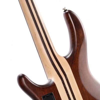 Cort A4 Plus FMMH OPN | Artisan Series Figured Maple/Mahogany 4-String Bass. New with Full Warranty! image 6