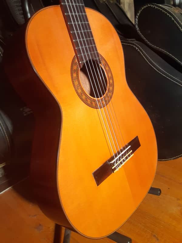 Vintage El Degas Classical Acoustic Guitar Model F4C MIJ image 1