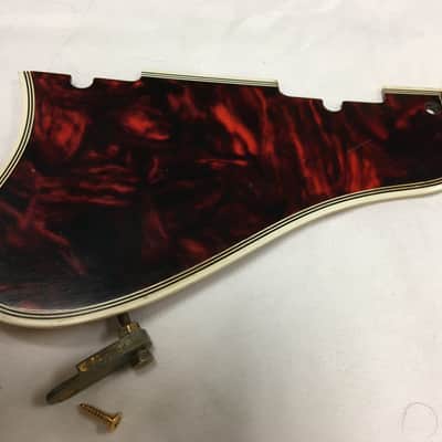 Gibson Byrdland pickguard 1967 image 4