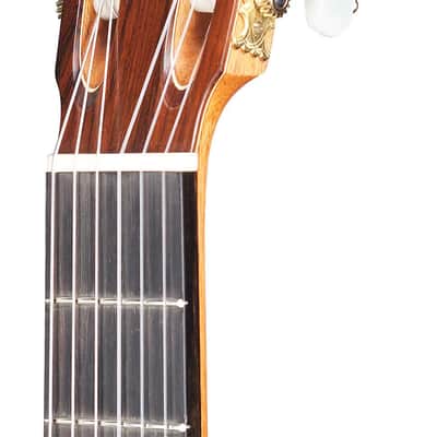 Antonio Raya Ferrer 2007 Classical Guitar Cedar/Indian Rosewood image 8