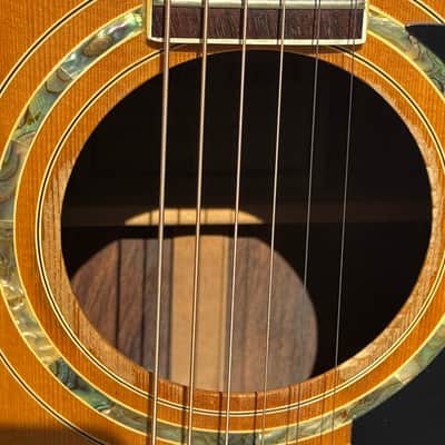 Ibanez 1970s CONCORD Model # 697 1975 Wood image 15