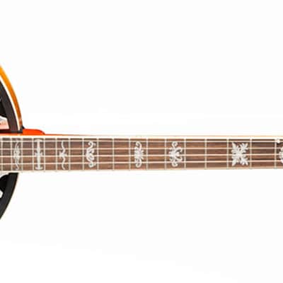 Washburn  B10 -5-String Resonator Banjo. New with Full Warranty! image 2