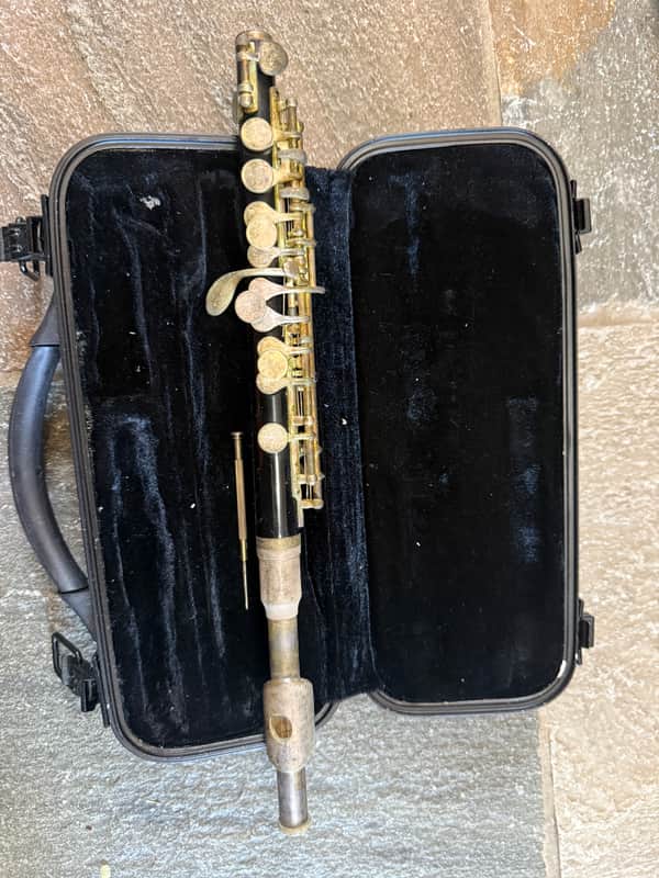 Black Piccolo with Case image 1