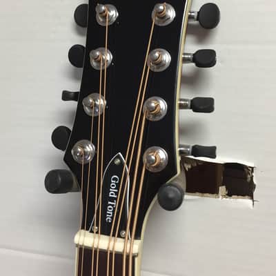 GOLD TONE Mandocello LEFT HANDED electric MANDOLIN Cello w/ CASE new - LEFTY image 4