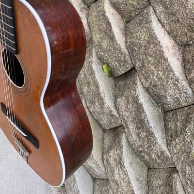 Bruno Parlor, Guitar, Brazilian rosewood, sides and back 1920s image 9