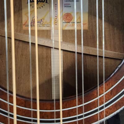 Taylor 362ce acoustic electric 12 string V bracing Shaded Edgeburst image 2