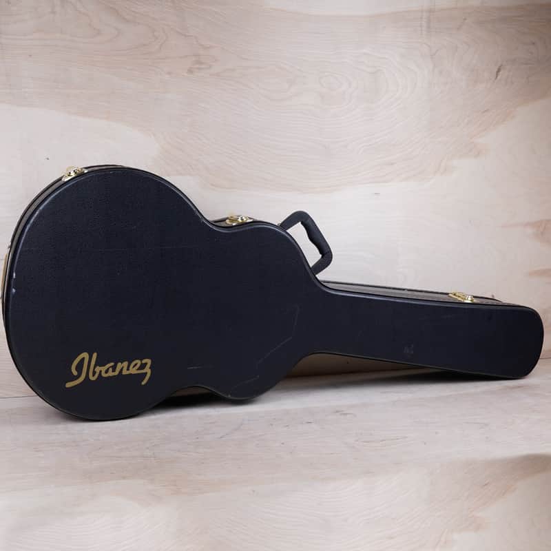 Ibanez Dreadnought Acoustic Guitar Case Black image 1