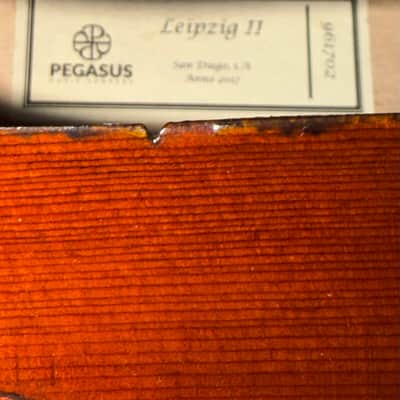 Pegasus Leipzig II 2017 image 1