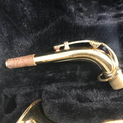 Giardenelli By Eastman GAS10 Upgrade Eb Alto Saxophone image 8