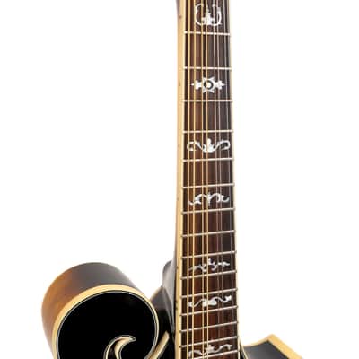 Gold Tone GM-35 F-Style Spruce Top Maple Neck 8-String Mandolin w/Foam Case image 3