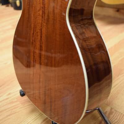 Eastman E10OOM image 12