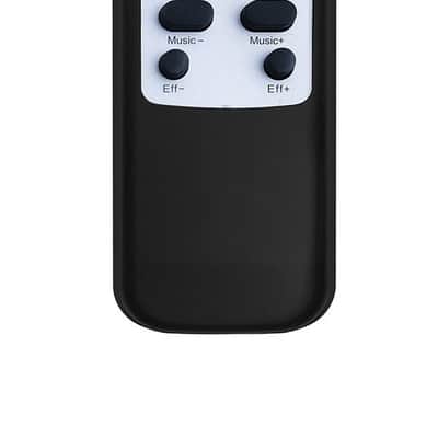 SINGTRONIC DSP-3000 Pro 2024 image 5