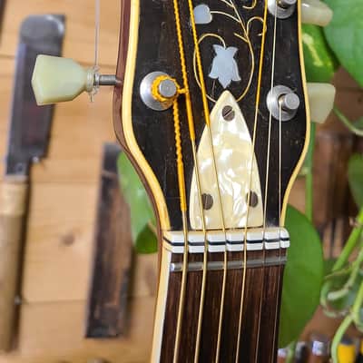 Hofner - President Brunette Sunburst - '64 image 5