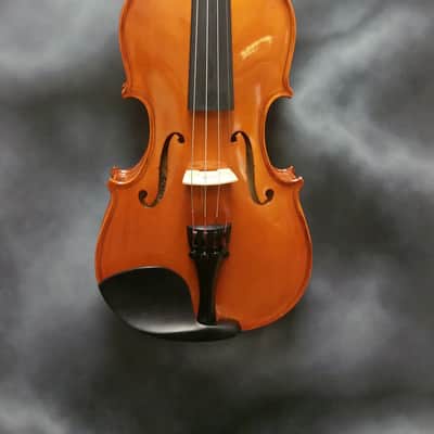 Hofner ALFRED STINGL AS-100 3/4 VIOLIN image 1