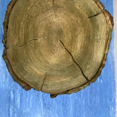 Tree stump garden hi fi speaker passive image 4
