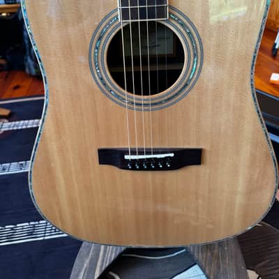 Zager ZAD-900CE  - Natural with Fishman Aura Pro Pickup image 6