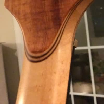 Alembic Spoiler 1983 Koa image 15