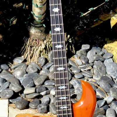B.C Rich Eagle Bass "Lefty" 1976 image 8