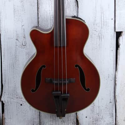 Takamine TB10LH 4 String Fretless Upright Acoustic Electric Bass Guitar w Case image 1