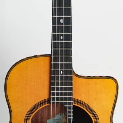 Gitane John Jorgenson DG-320 *Used image 6