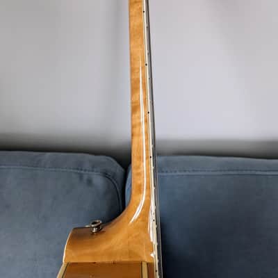 1977 Ibanez 2455 Single Cutaway Laminated Archtop image 10