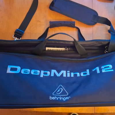 Behringer DeepMind 12 Traveling bag included image 6