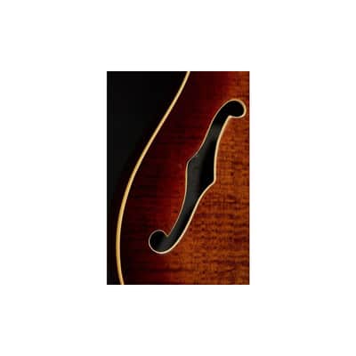 Harley Benton CST-24HB Tortoise Flame image 13