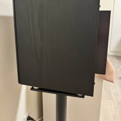 Immagine Dynaudio BM6A pair - 4