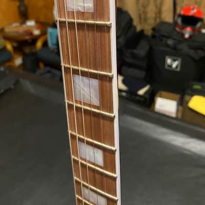 Michael Kelly Spalted Hybrid E/A 2025 - Spalted Burst image 14