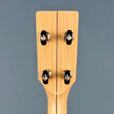 Pisgah Roscoe 5-String Banjo image 16