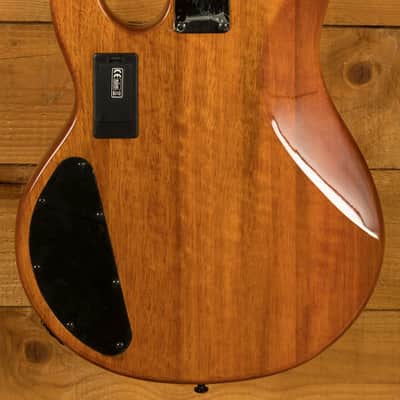 Sterling RAY34HHPB StingRay HH Bass - Burled Amber image 4