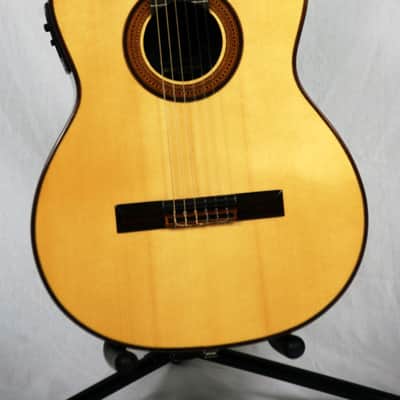 Mérida NG75-CEH Classical / electric cutaway image 2
