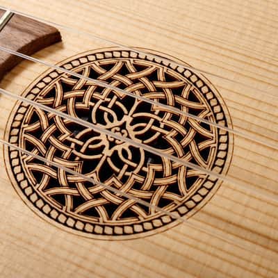 Folk Instruments Soprano Lute Ukulele with Bag image 6