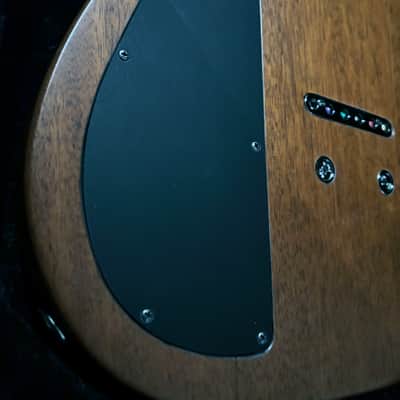 Daemoness Cimmerian “Danse Macabre” Custom 6-String Bog Oak / Mahogany w/ Bare Knuckle Warpig & Hard Case image 9