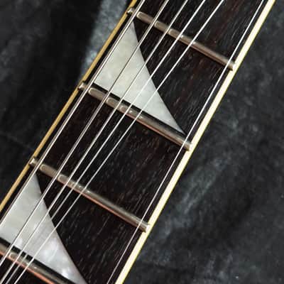 Grover Jackson KV.D-120 King V Metallic Black - VERY GOOD condition image 10