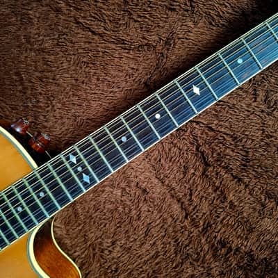 Extremely Rare Vintage 1980s Aria Elecord Model FET-65-12 12 String With Electronics And Arched Top And Bottom image 4