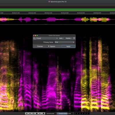 Steinberg Spectralayers Pro 13 Full Version 365 image 3