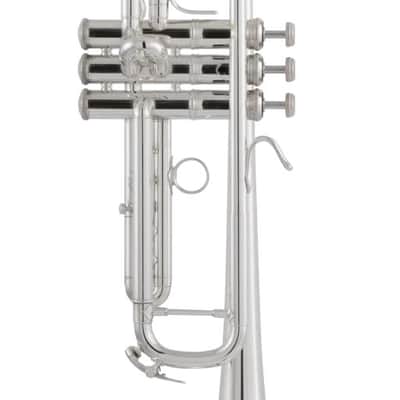 Bach 170S43GYR Apollo Trompete image 2